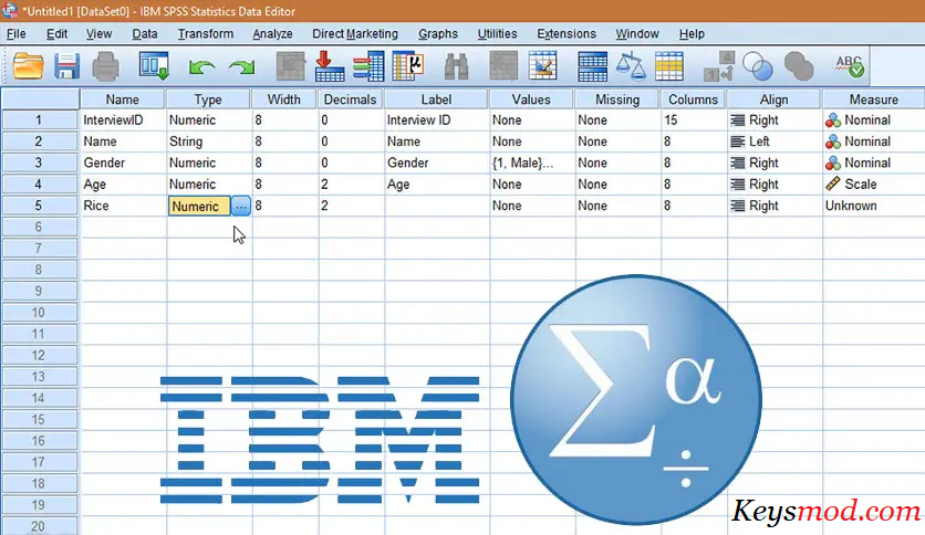 IBM SPSS Statistics Crackeado-Editor